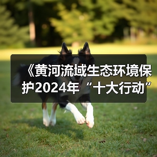 《黄河流域生态环境保护2024年“十大行动”工作方案》印发！（图3）