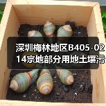 深圳梅林地区B405-0214宗地部分用地土壤污染治理与修复工程公开招标！（图4）