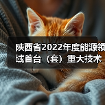 陕西省2022年度能源领域首台（套）重大技术装备拟推荐项目公示（图2）