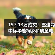 197.13万成交！雪迪龙中标华能桐乡和瑞金电厂二氧化碳排放连续监测系统采购！（图4）