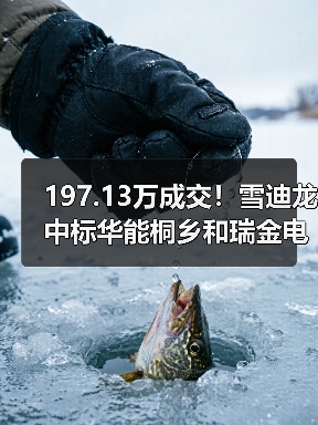 197.13万成交！雪迪龙中标华能桐乡和瑞金电厂二氧化碳排放连续监测系统采购！（图2）
