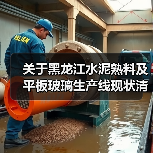 关于黑龙江水泥熟料及平板玻璃生产线现状清单的公示(图2) 关于黑龙江水泥熟料及平板玻璃生产线现状清单的公示(图2)