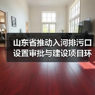 山东省推动入河排污口设置审批与建设项目环境影响评价审批联动办理工作方案（试行）（图2）