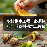农村供水工程，必须执行！《农村供水工程项目规范（征求意见稿）》公开征求意见！（图2）