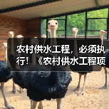 农村供水工程，必须执行！《农村供水工程项目规范（征求意见稿）》公开征求意见！（图1）