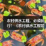 农村供水工程，必须执行！《农村供水工程项目规范（征求意见稿）》公开征求意见！（图4）