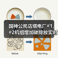 国神公司店塔电厂#1、#2机组增加碳排放实时监测数据采购项目公开招标（图3）