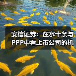 安信证券:在水十条与PPP中看上市公司的机遇与风险(图2) 安信证券:在水十条与PPP中看上市公司的机遇与风险(图2)
