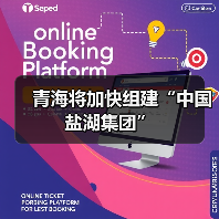 青海将加快组建“中国盐湖集团”