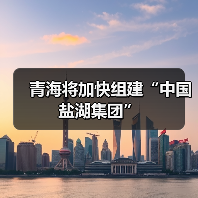 青海将加快组建“中国盐湖集团”(图3) 青海将加快组建“中国盐湖集团”(图3)