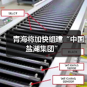 青海将加快组建“中国盐湖集团”(图2) 青海将加快组建“中国盐湖集团”(图2)
