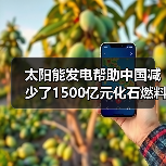 太阳能发电帮助中国减少了1500亿元化石燃料进口(图3) 太阳能发电帮助中国减少了1500亿元化石燃料进口(图3)