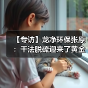 【专访】龙净环保张原：干法脱硫迎来了黄金时代