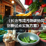 《长治市减污降碳协同创新试点实施方案》发布