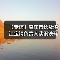 【专访】湛江市长及湛江宝钢负责人谈钢铁环保技术创新（图4）