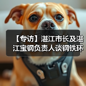 【专访】湛江市长及湛江宝钢负责人谈钢铁环保技术创新（图2）