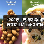 4200万！元成环境中标石寺铝土矿上岭 2 矿坑地质环境修复治理及土地复垦工程！