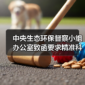 中央生态环保督察小组办公室致函要求精准科学依法推进边督边改 严禁“一刀切” 切实减轻基层负担