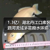 1.3亿!湖北丹江口库区泗河流域茅箭段水环境综合整治项目工程总承包EPC开标(图3) 1.3亿!湖北丹江口库区泗河流域茅箭段水环境综合整治项目工程总承包EPC开标(图3)