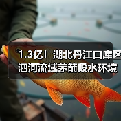 1.3亿!湖北丹江口库区泗河流域茅箭段水环境综合整治项目工程总承包EPC开标(图4) 1.3亿!湖北丹江口库区泗河流域茅箭段水环境综合整治项目工程总承包EPC开标(图4)