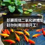 新疆首批二氧化碳捕集封存利用项目开工!(图2) 新疆首批二氧化碳捕集封存利用项目开工!(图2)