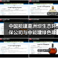 中国能建葛洲坝生态环保公司与中能建绿色建材有限公司共商合作！（图2）