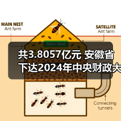 共3.8057亿元 安徽省下达2024年中央财政大气污染防治资金（第二批）（图2）