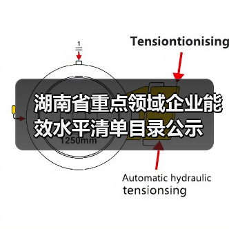 湖南省重点领域企业能效水平清单目录公示(图4) 湖南省重点领域企业能效水平清单目录公示(图4)