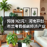 预算3亿元！河南开封市兰考县低碳经济产业园区建设项目公开招标！