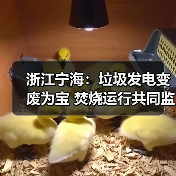 浙江宁海：垃圾发电变废为宝 焚烧运行共同监督