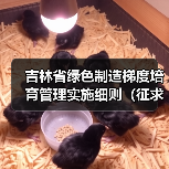 吉林省绿色制造梯度培育管理实施细则(征求意见稿)发布(图3) 吉林省绿色制造梯度培育管理实施细则(征求意见稿)发布(图3)