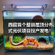 西藏首个整县屋顶分布式光伏项目投产发电!(图4) 西藏首个整县屋顶分布式光伏项目投产发电!(图4)