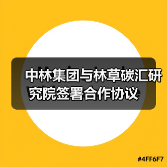 中林集团与林草碳汇研究院签署合作协议(图4) 中林集团与林草碳汇研究院签署合作协议(图4)