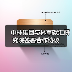 中林集团与林草碳汇研究院签署合作协议