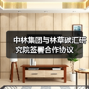 中林集团与林草碳汇研究院签署合作协议(图2) 中林集团与林草碳汇研究院签署合作协议(图2)