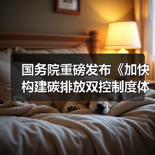 国务院重磅发布《加快构建碳排放双控制度体系工作方案》!(图3) 国务院重磅发布《加快构建碳排放双控制度体系工作方案》!(图3)