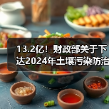 13.2亿！财政部关于下达2024年土壤污染防治资金（第二批）预算的通知（图4）