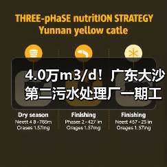 4.0万m3/d!广东大沙第二污水处理厂一期工程及配套管网工程环评公示(图4) 4.0万m3/d!广东大沙第二污水处理厂一期工程及配套管网工程环评公示(图4)