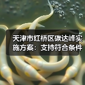 天津市红桥区碳达峰实施方案:支持符合条件的企业发行绿色债券、碳中和债券、转型债券等(图1) 天津市红桥区碳达峰实施方案:支持符合条件的企业发行绿色债券、碳中和债券、转型债券等(图1)