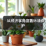 从经济学角度看环境保护(图3) 从经济学角度看环境保护(图3)