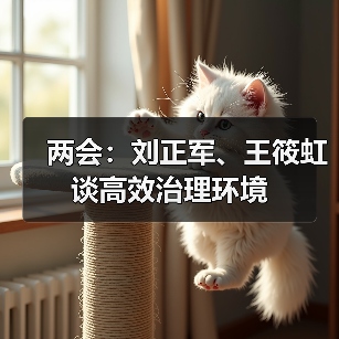 两会:刘正军、王筱虹谈高效治理环境(图3) 两会:刘正军、王筱虹谈高效治理环境(图3)