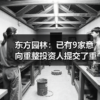 东方园林:已有9家意向重整投资人提交了重整投资方案(图3) 东方园林:已有9家意向重整投资人提交了重整投资方案(图3)