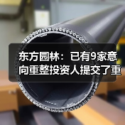 东方园林:已有9家意向重整投资人提交了重整投资方案(图1) 东方园林:已有9家意向重整投资人提交了重整投资方案(图1)