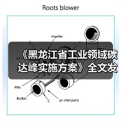 《黑龙江省工业领域碳达峰实施方案》全文发布！（图2）