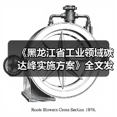《黑龙江省工业领域碳达峰实施方案》全文发布！（图3）