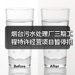 烟台污水处理厂三期工程特许经营项目暂停招标(图3) 烟台污水处理厂三期工程特许经营项目暂停招标(图3)