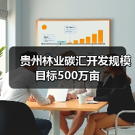 贵州林业碳汇开发规模目标500万亩（图2）