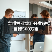 贵州林业碳汇开发规模目标500万亩（图3）