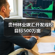贵州林业碳汇开发规模目标500万亩（图1）