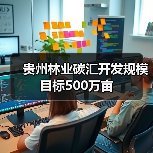 贵州林业碳汇开发规模目标500万亩（图4）